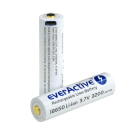 Industrijska punjiva baterija 3200 mAh EverActive