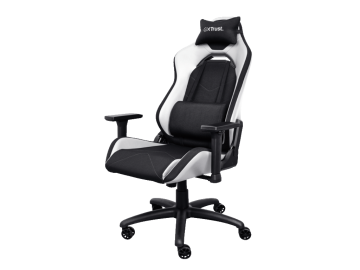 Stolica TRUST GXT714 RUYA ECO gaming/crno bela