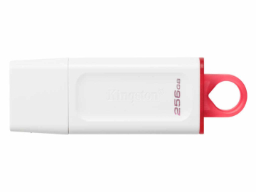 USB memorija KINGSTON KC-U2G256-5R/DataTraveler Exodia/3.2/bela