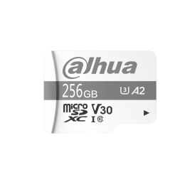 Dahua TF-P100/256GB