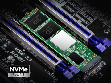 SSD TRANSCEND 256GB/interni/M.2/NVMe/crna
